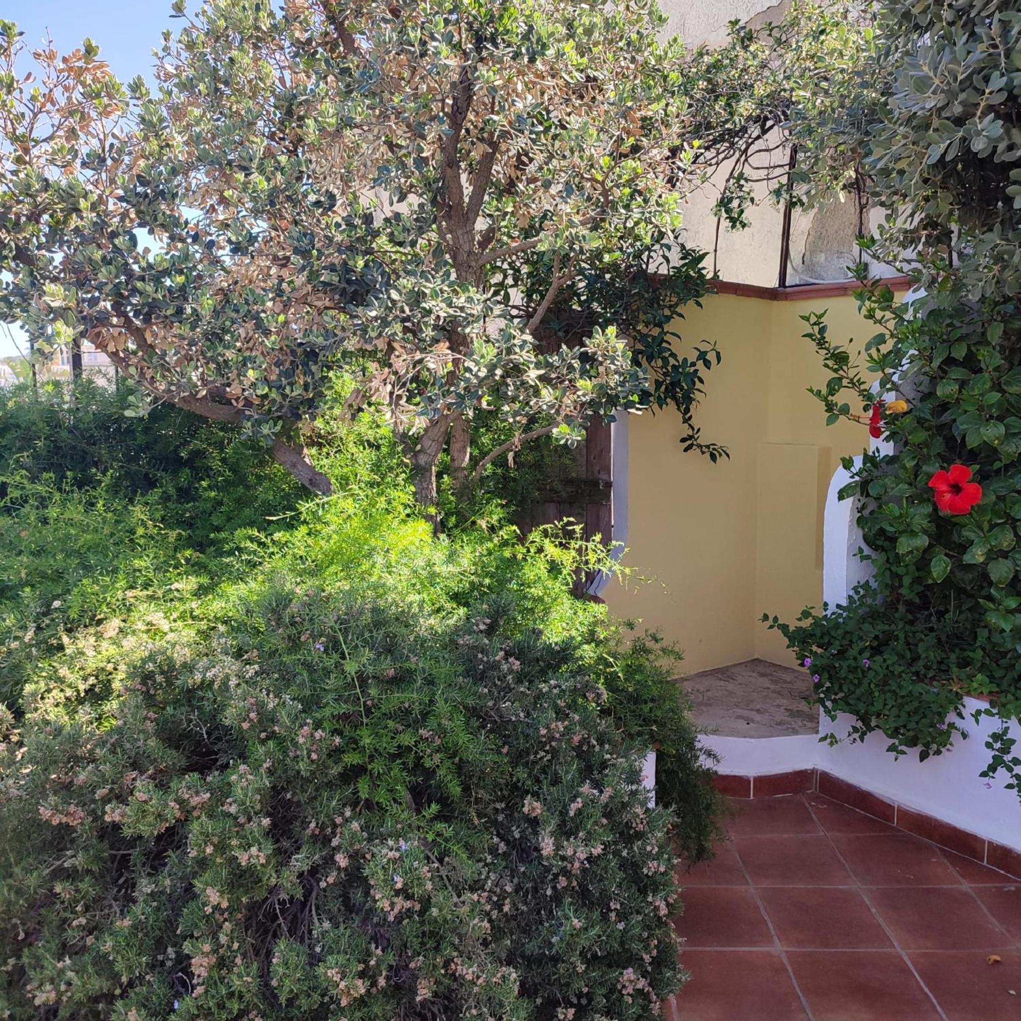 Hotel Villa Verde Forio di Ischia Dış mekan fotoğraf