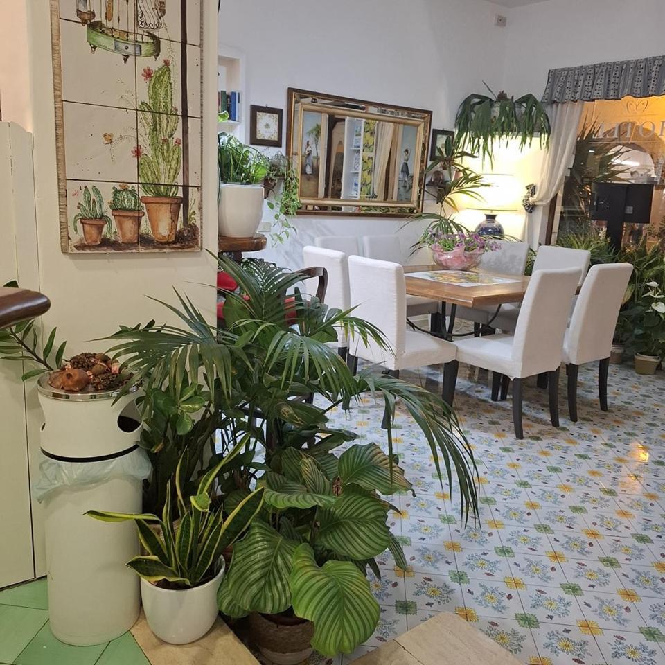 Hotel Villa Verde Forio di Ischia Dış mekan fotoğraf